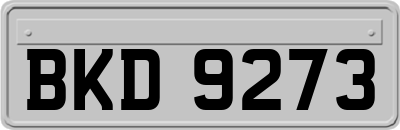 BKD9273