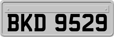 BKD9529