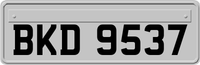 BKD9537