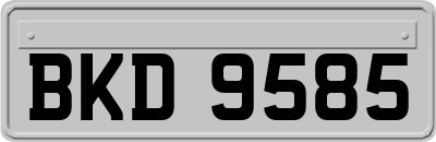 BKD9585