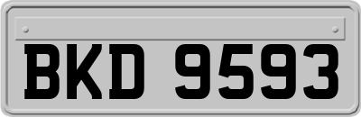 BKD9593