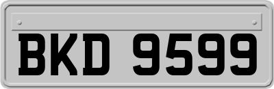 BKD9599