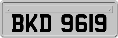 BKD9619