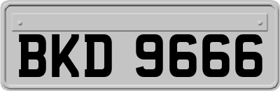 BKD9666
