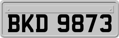 BKD9873
