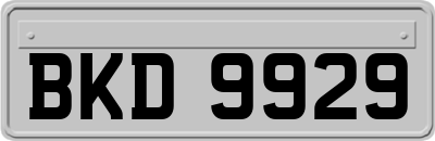 BKD9929