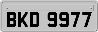 BKD9977