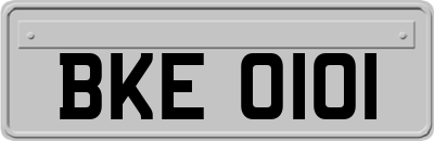 BKE0101