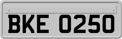 BKE0250