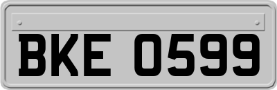 BKE0599