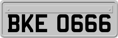 BKE0666