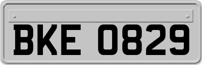 BKE0829