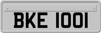 BKE1001