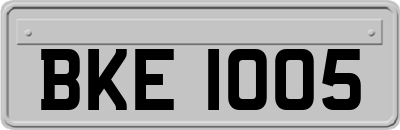 BKE1005