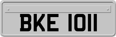 BKE1011