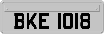 BKE1018