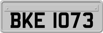 BKE1073