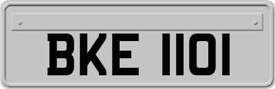 BKE1101