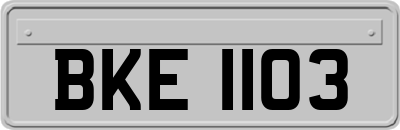 BKE1103