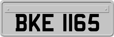 BKE1165