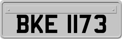 BKE1173
