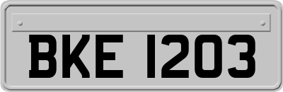 BKE1203