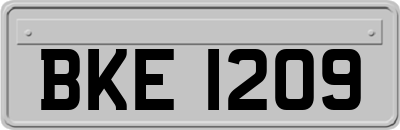 BKE1209