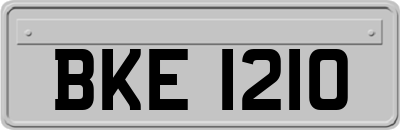 BKE1210