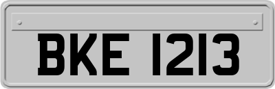 BKE1213