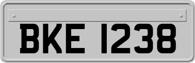 BKE1238