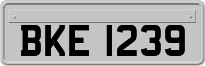 BKE1239