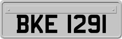 BKE1291