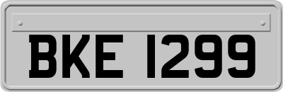 BKE1299