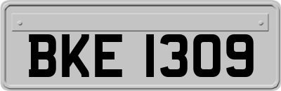 BKE1309
