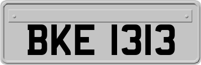 BKE1313