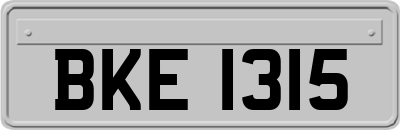 BKE1315