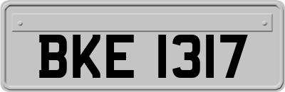 BKE1317