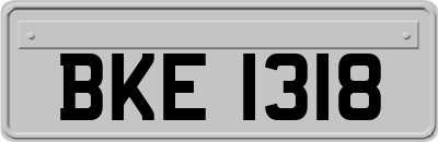 BKE1318