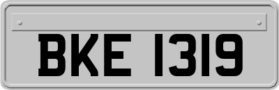 BKE1319
