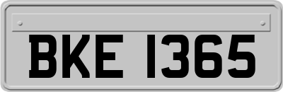 BKE1365