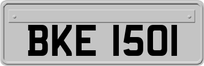 BKE1501
