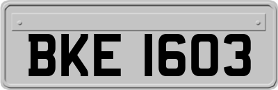BKE1603