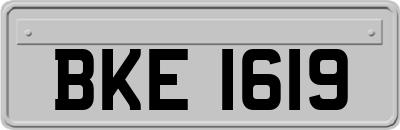 BKE1619