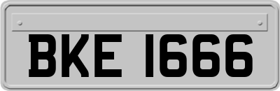 BKE1666