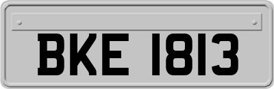 BKE1813