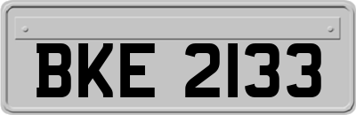 BKE2133