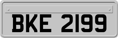 BKE2199