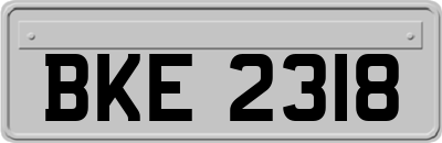 BKE2318