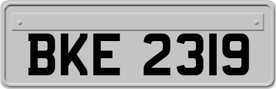 BKE2319