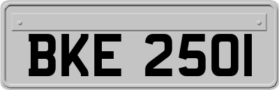 BKE2501